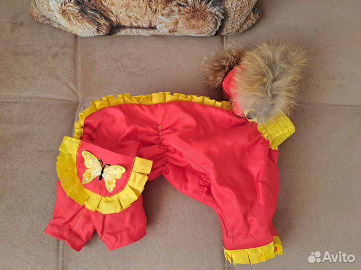 Одежда для маленьких собак,б/у