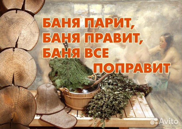 Веники дубовые и березовые