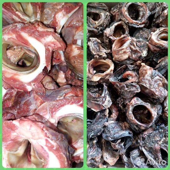 Натуральеые лакомства для собак