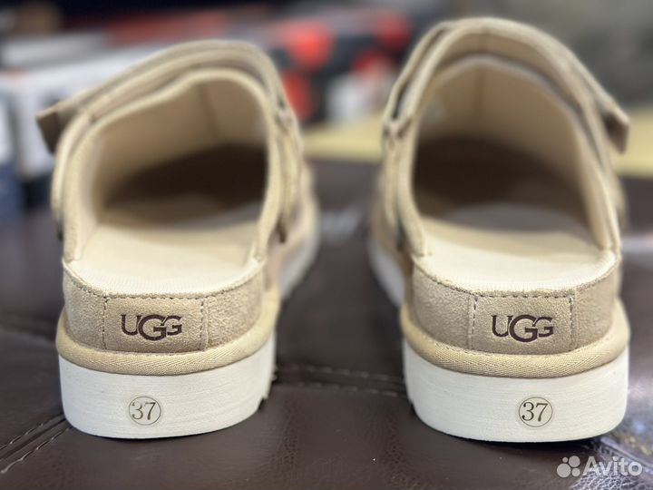 Ugg goldenstar clog cand