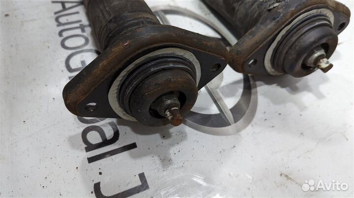 Амортизатор задний Nissan Murano PNZ51 VQ35DE 2008