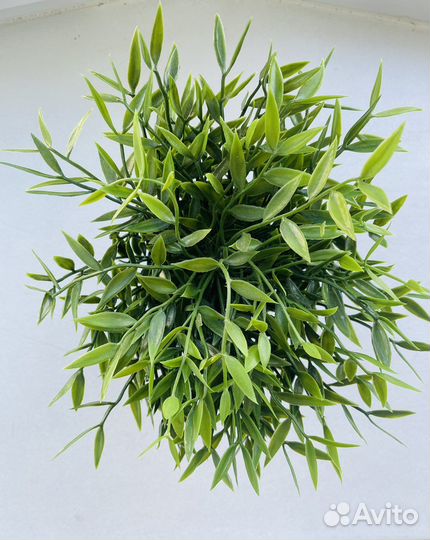 Искусственное растение IKEA фейка