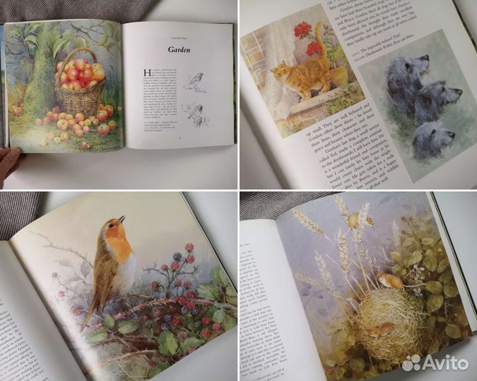 Винтажная книга о природе Англия