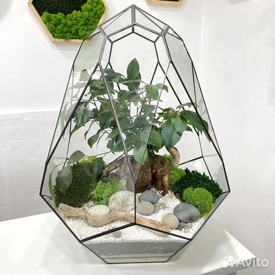 Флорариум 
