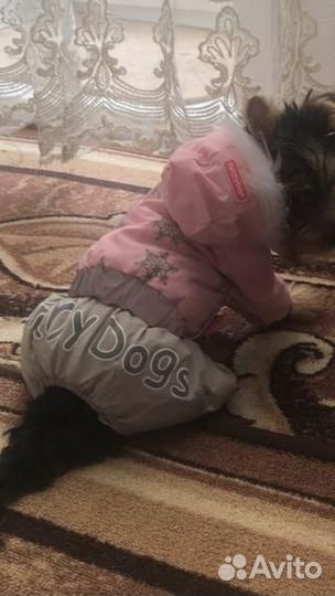Зимний комбинезон для собаки