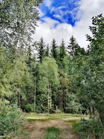 Дом 32 м² на участке 7,6 сот.