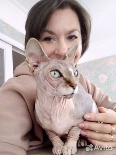 Зооняня/уход за животными/уколы/зоотакси