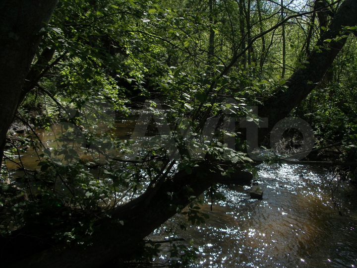 Участок 10 сот. (СНТ, ДНП)