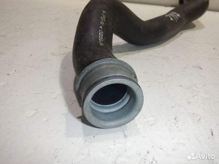 Патрубок системы охлаждения A2225010093