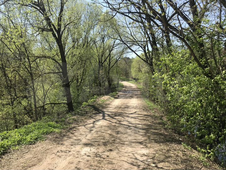 Участок 10 сот. (ИЖС)