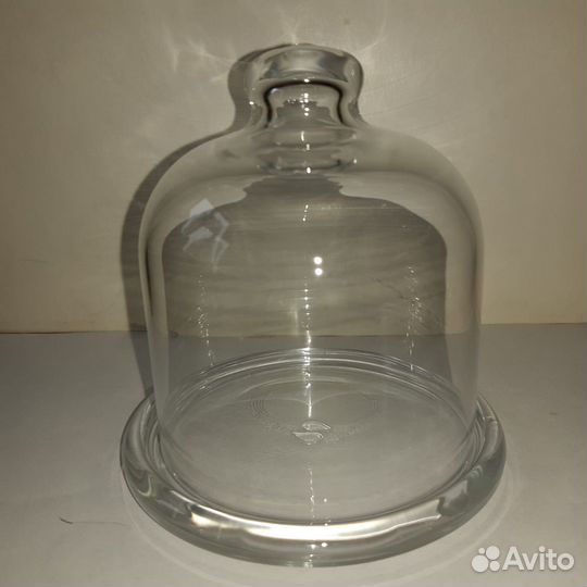 Лимонница стеклянная