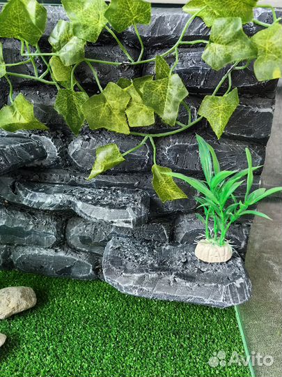 Новый Террариум