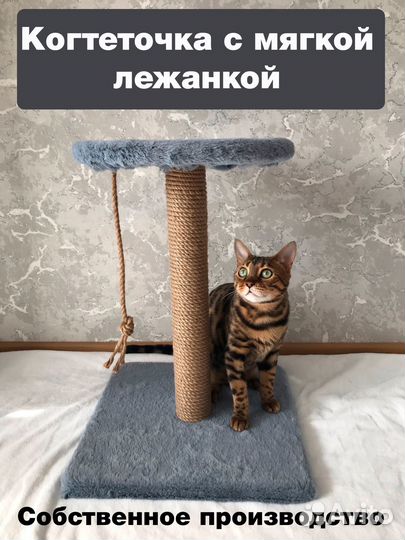 Когтеточка с лежанкой