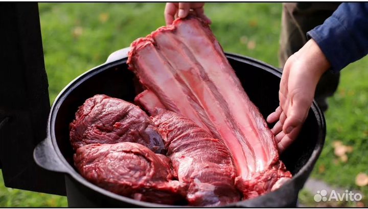 Сохатина(лосятина), Оленина н/к