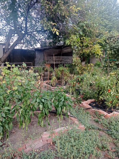 Дом 98 м² на участке 44 сот.