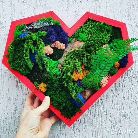 Мастер -класс 