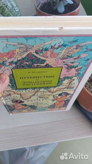 Верзилин Н. Путешествие с домашними растениями