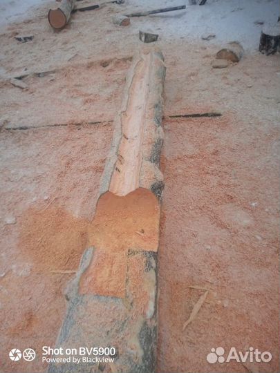 Изготовление срубов из Карельской сосны Kelo