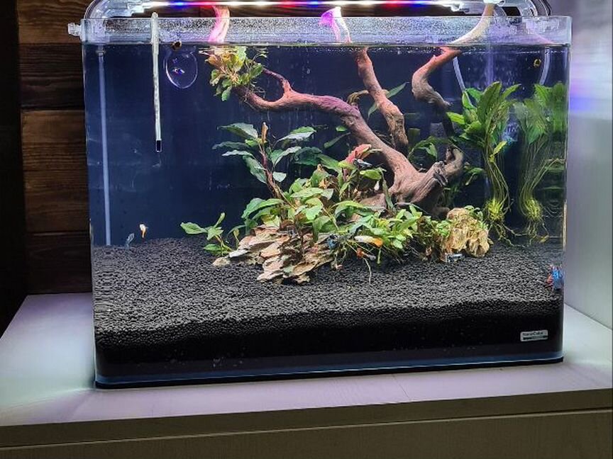 Аквариум Dennerle Nano Scaper's Tank 70 л