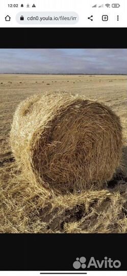 Солома в тюках с доставкой