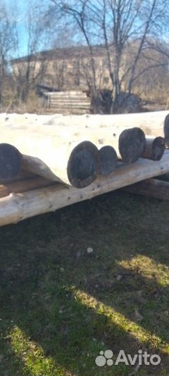 Отборный лес. Кругляк