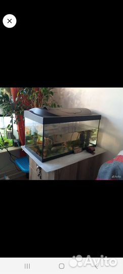 Аквариум aquael, ferplast, фильтр,нагреватель
