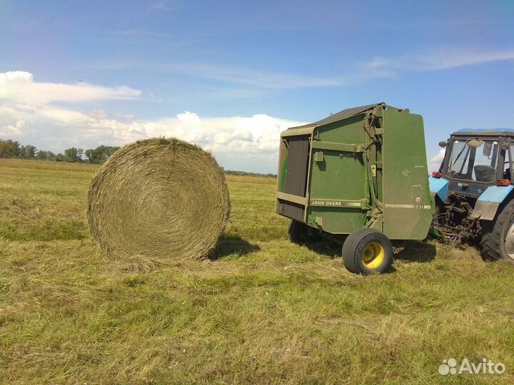 Продам сено в рулонах