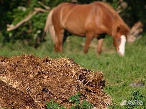 Навоз конский в мешках с доставкой