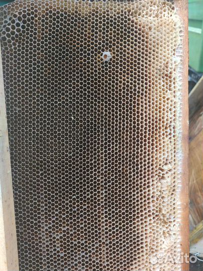 Продам сушь