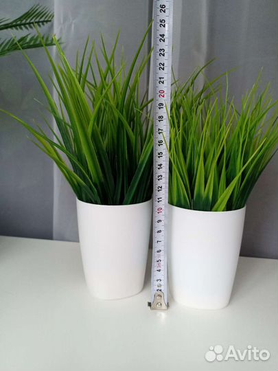 Осока искусственная высокая