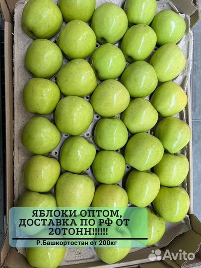 Яблоки оптом красные от 20 тонн