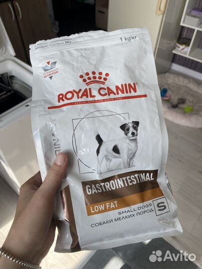 Корм Royal Canin gastro для собак мини-пород