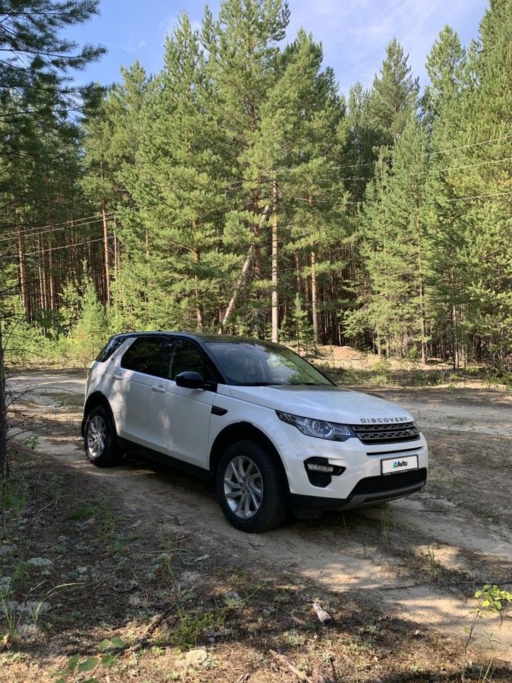 Land Rover Discovery Sport: фото владельца