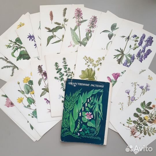 Наборы открыток Лекарственные растения