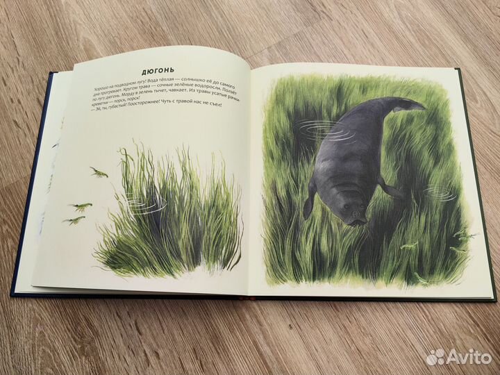 Сахарнов Кто живёт в тёплом море