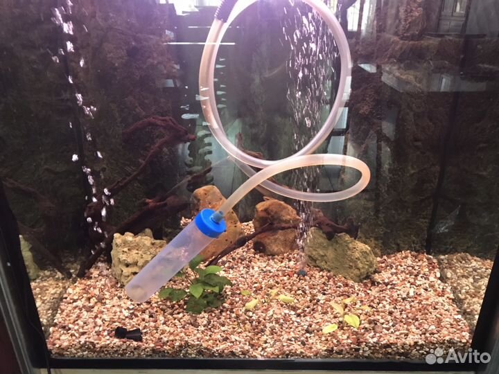 Профессиональная чистка аквариума