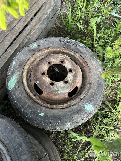 Калеса газель