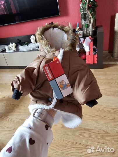 Куртка для собак мелких пород, кошек, новая