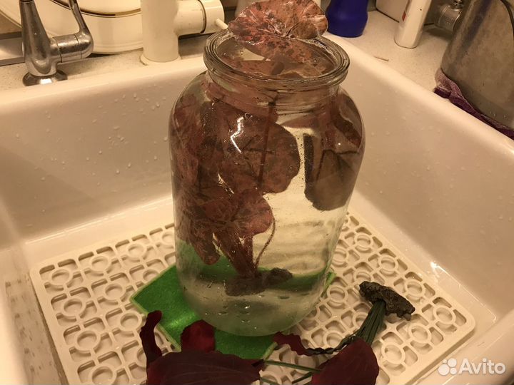 Искусственные растения для аквариума