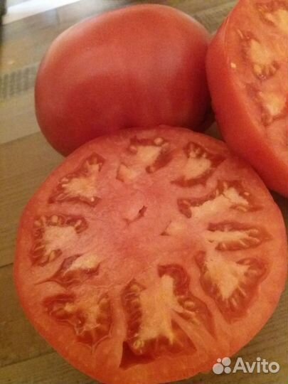 Забайкальские томаты красные и жёлтые(семена)