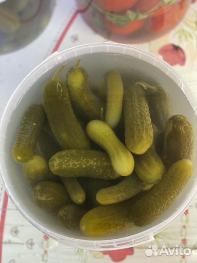 Огурцы соленые