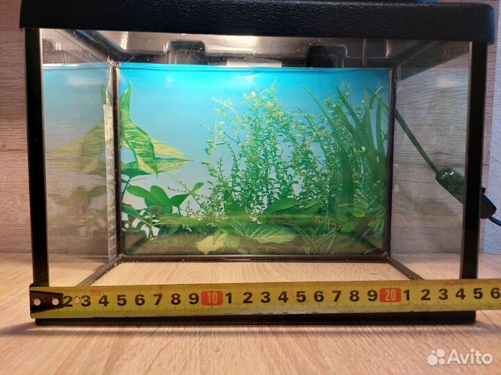 Аквариум