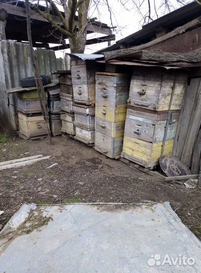 Продам ульи для пчел