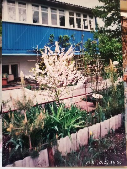 Участок 6,3 сот. (СНТ, ДНП)