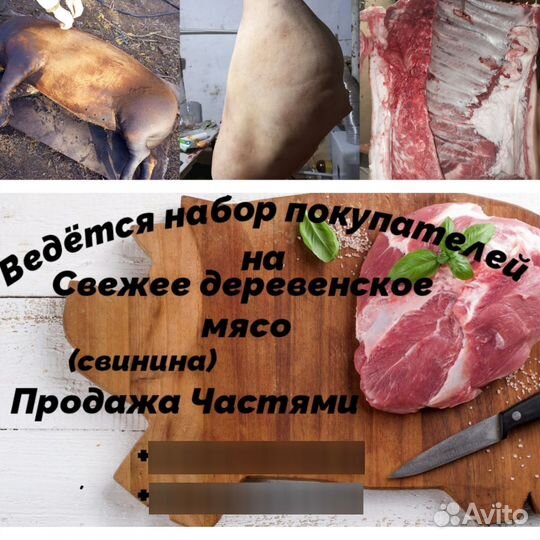Мясо свинина
