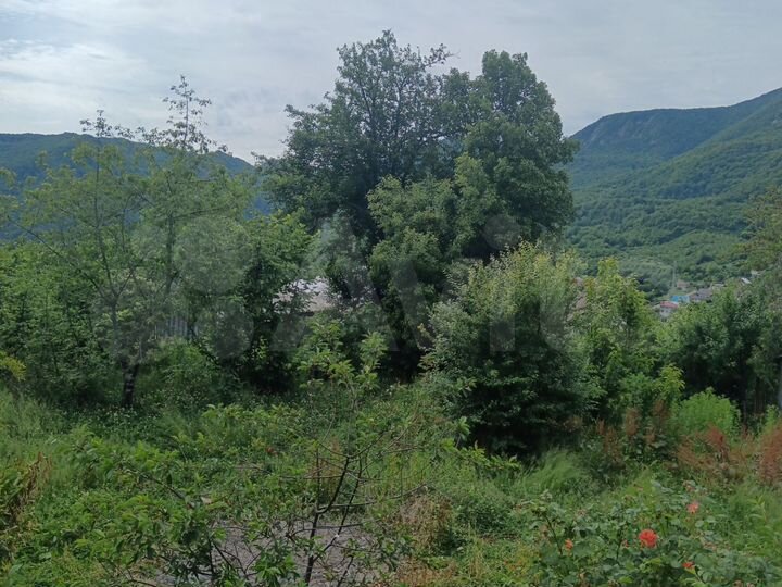 Участок 25 га (ИЖС)