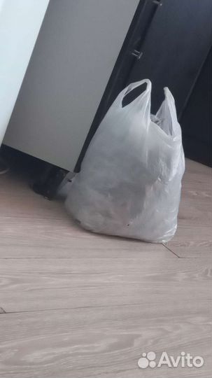 Листья дуба