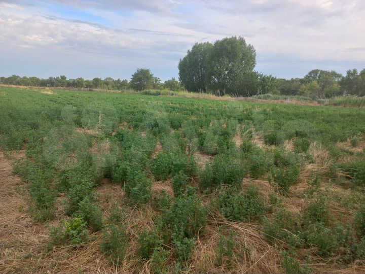 Дача 50 м² на участке 100 сот.