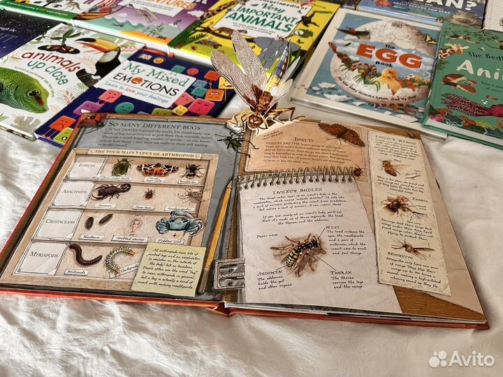 Книги на английском языке