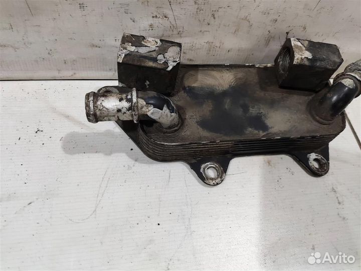 Радиатор масляный Land Rover Freelander 1